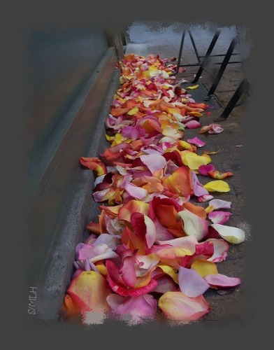 Les roses et le caniveau